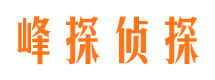 盐田寻人公司